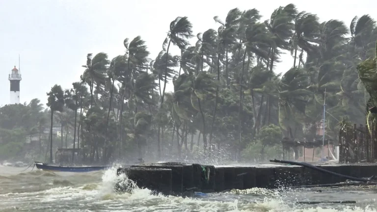 ditwah-1764384067842